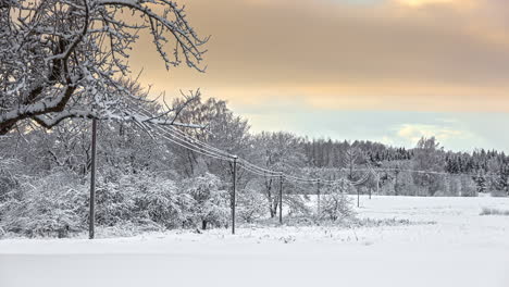 time-lapse shot of flying clouds over snowy forest trees during cold frosty winter day