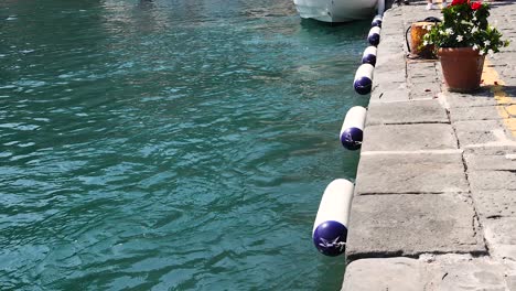 boat docked beside pier with flowers