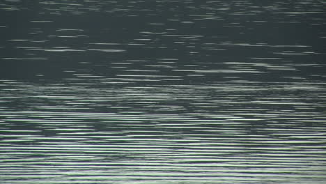 linear ripples on lake surface