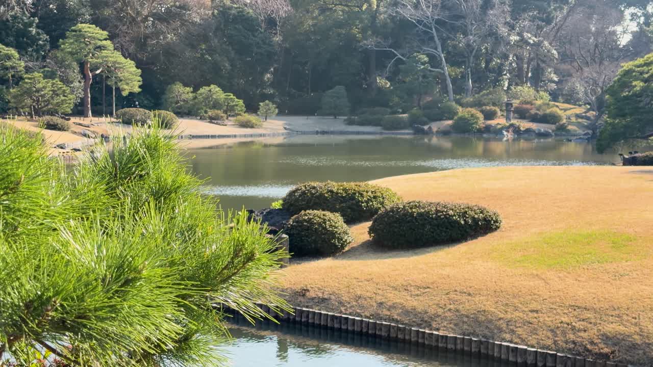 Inquadratura ampia statica di uno stagno tradizionale di un giardino giapponese con arbusti curati e pini.
