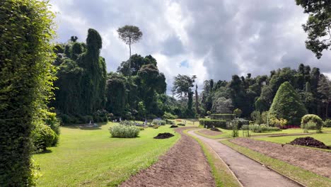 beautiful botanical garden with lush greenery and people relaxing