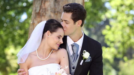 recién casados felices sentados en el parque junto a un árbol
