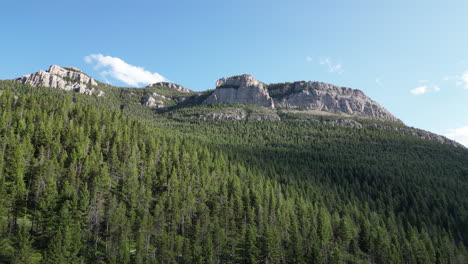 Mountain-Peak-Above-Vast-Evergreen-Pine-Tree-Forest