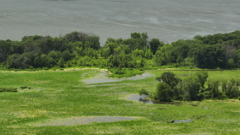 Feuchtgebiete-Und-Vegetation-Am-Fluss-Im-Trempealeau-National-Wildlife-Refuge-In-West-Central,-Wisconsin,-USA