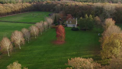 House-in-middle-of-forrest-Oudemirdum-Friesland-with-in-front-a-orange-tree-in-autumn-color,-aerial