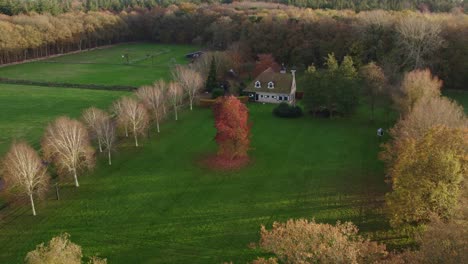 house in middle of forrest oudemirdum friesland with in front a orange tree in autumn color, aerial