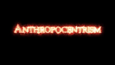 anthropocentrism written with fire. loop