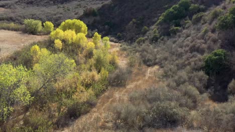 Pico-Canyon,-Kalifornien-Und-Seine-Herbstfarben