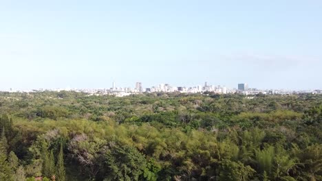 Vista-De-Drones-Desde-Lo-Alto-De-Las-Copas-De-Los-árboles-En-El-Fondo-La-Vista-De-La-Ciudad,-Hermosa-Puesta-De-Sol-De-La-Naturaleza-En-La-Ciudad