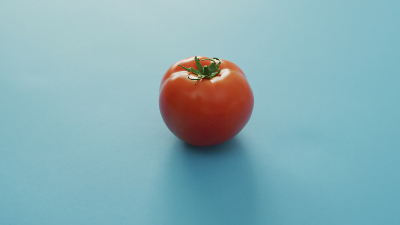 신선 한 토마토 의 동영상 과 파란색 배경 에 있는 복사 공간