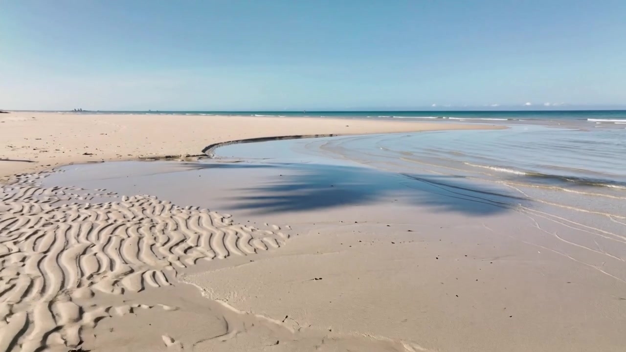 Panorerende kamera viser en våd sandstrand med et buet tidevandsindløb og palmeskygge, der afslører søstjerner.