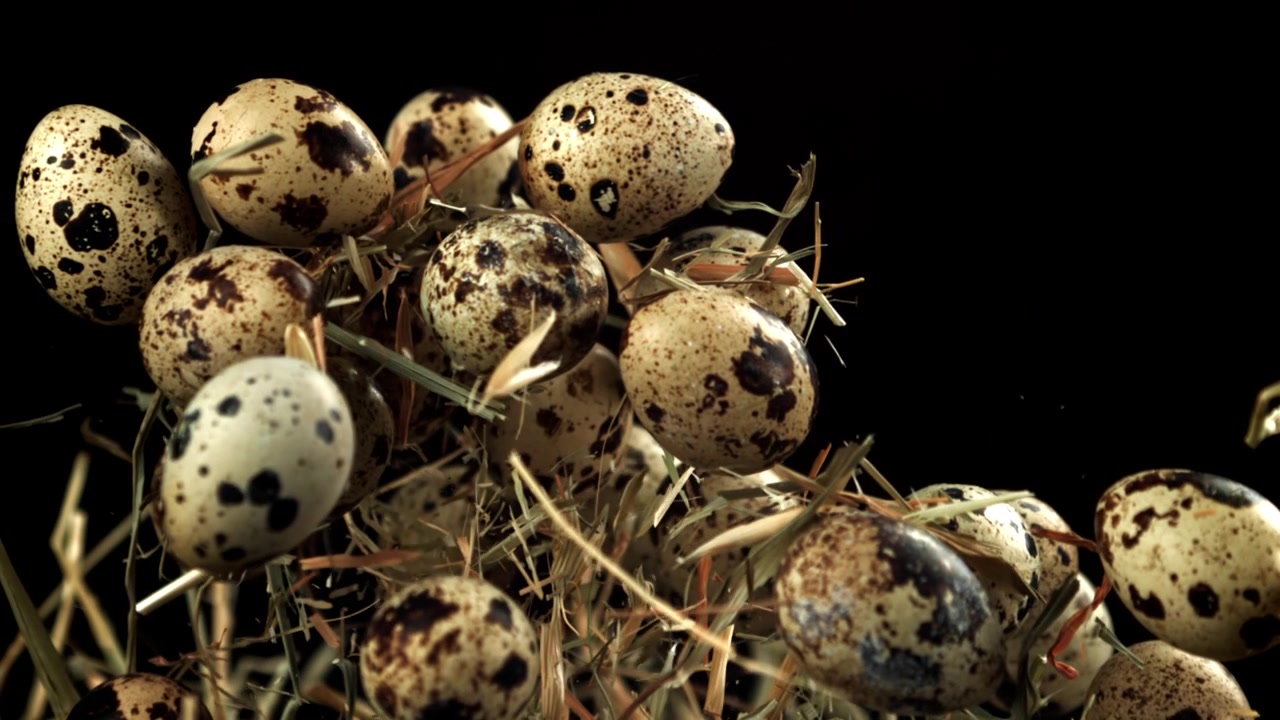 Quail Eggs and Hay Floating Upwards in Slow Motion
