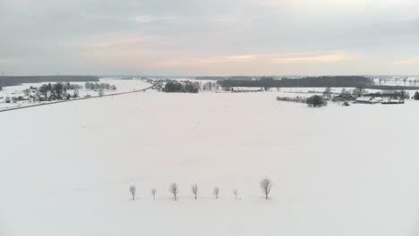 Breathtaking-aerial-view-of-vast-snow-white-landscape-field-in-winter-Latvia,-northern-Europe-panorama,-drone-flying-backwards,-sunset