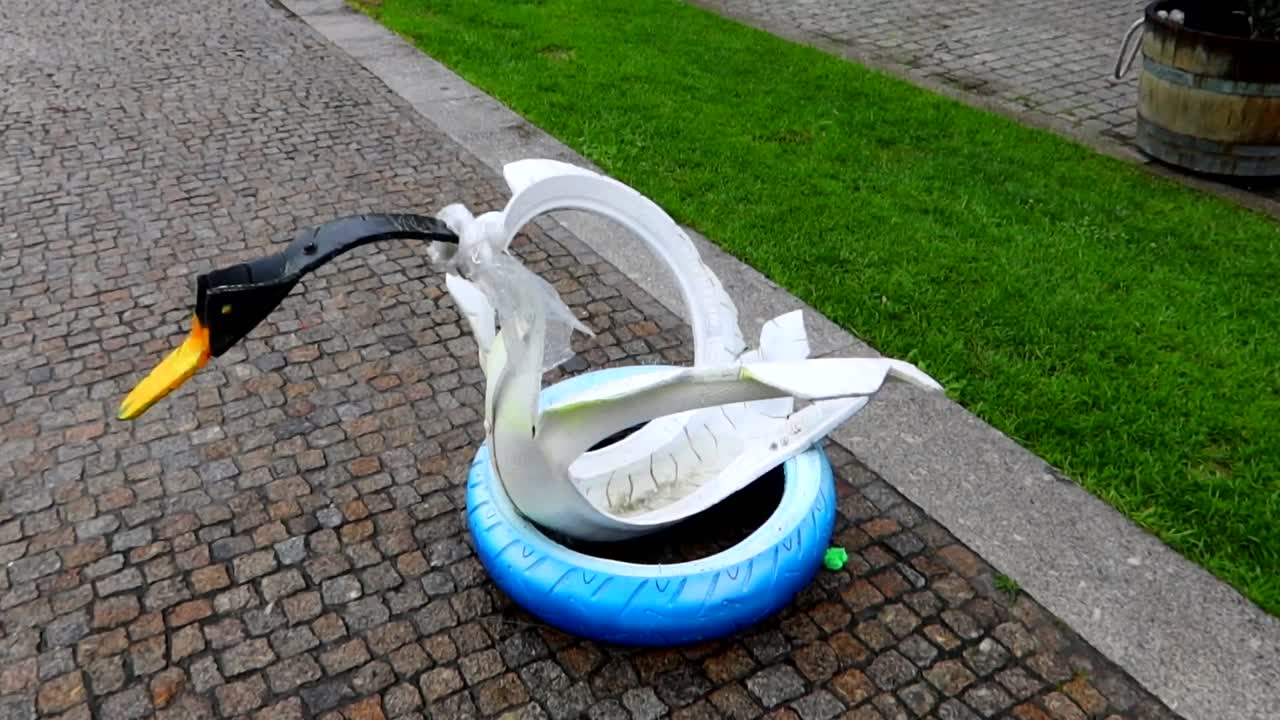 swan dade de neumáticos usados siendo estrangulado por una bolsa de plástico, inclinado hacia abajo disparado