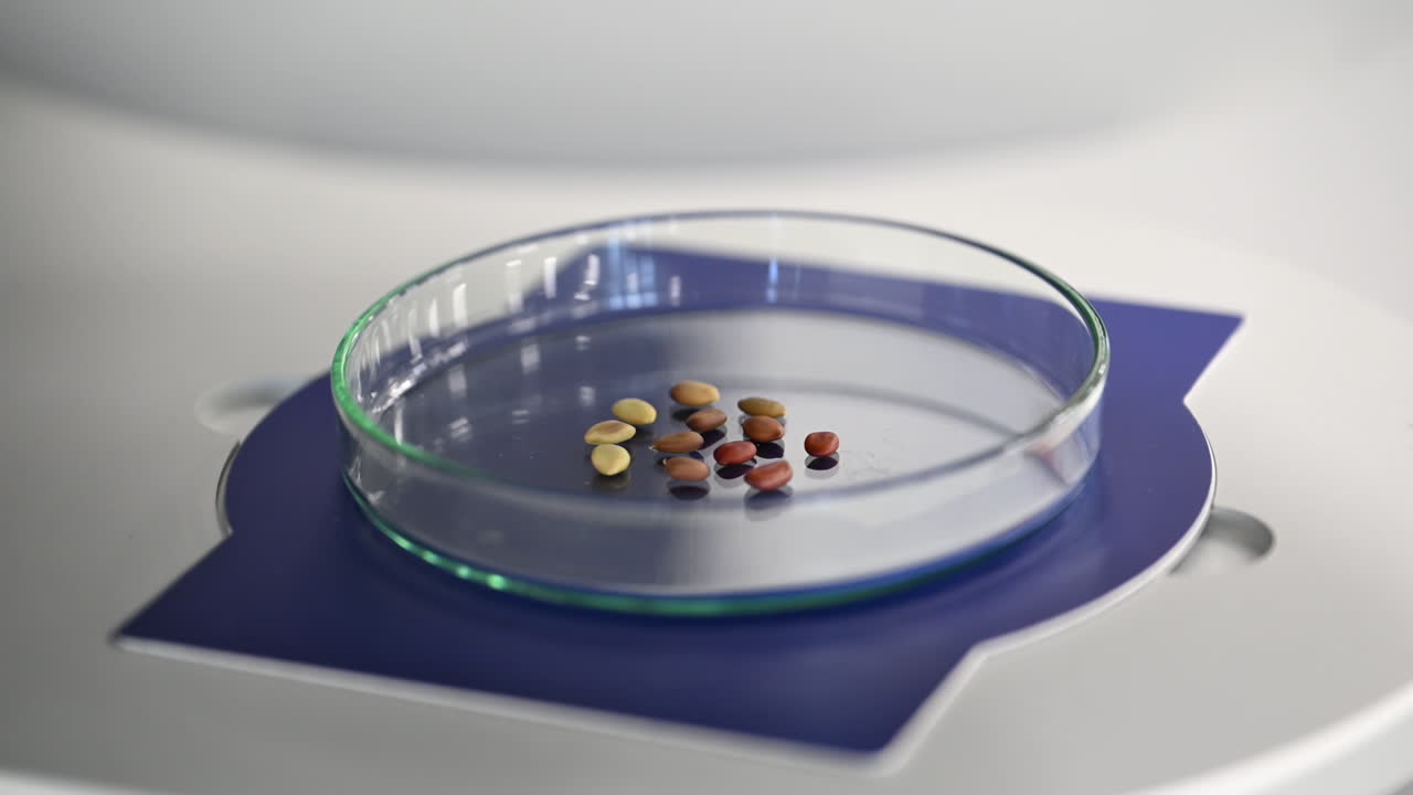 Preserving nature for the future — a look inside the UAE’s Plant Preservation Lab