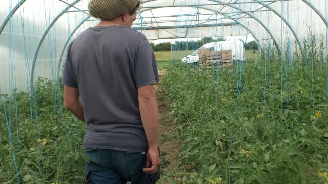 온실에 있는 식물