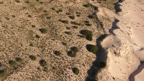 Aerial-view-of-a-massive-white-sand-dune-in-the-arid-region-of-the-Northern-Cape,-South-Africa