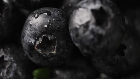 micro video of close up of blueberries with copy space