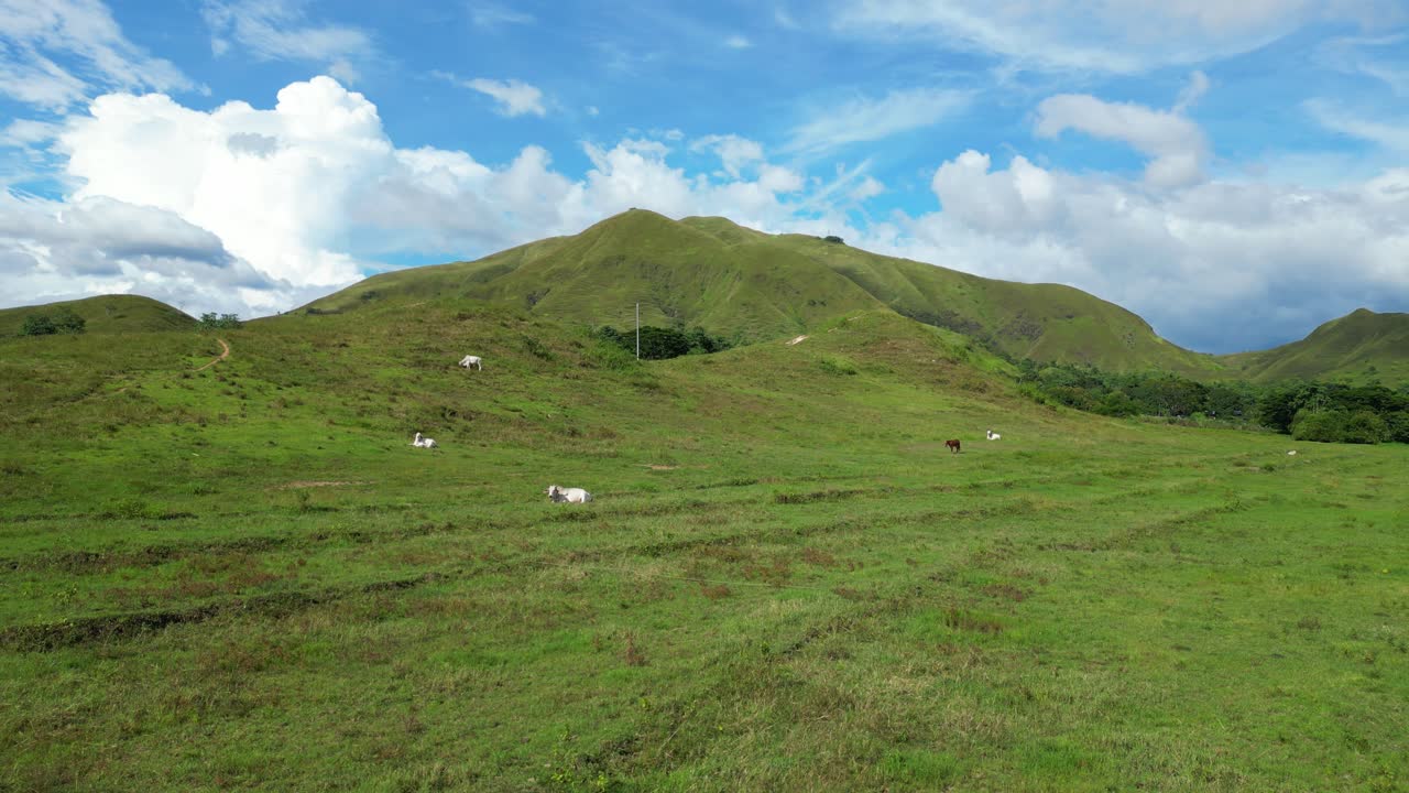 Sideward push-in aerial of Bagabag farmland with grazing cows across green hills under blue sky in Bagabag, Nueva Vizcaya, Philippines