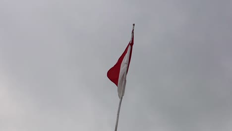 the waving red white indonesia national flag