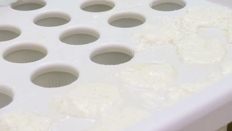 diary cheese factory. cheese maker filling cheese molds