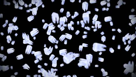 volando muchos dientes blancos sobre fondo negro. concepto de cuidado dental. animación 3d de la rotación de los dientes. animación de bucle.