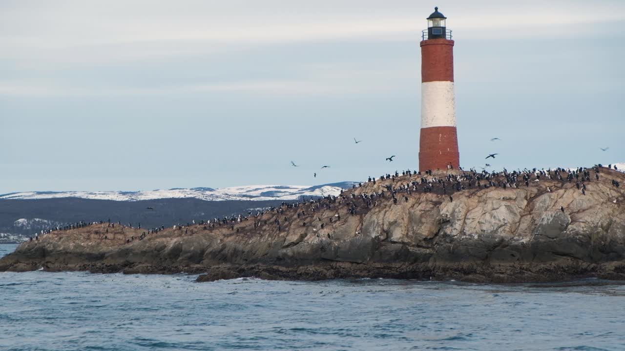 vista media desde el barco de cormoranes en el faro y la isla de les eclaireurs.