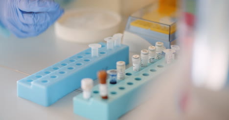 científico de laboratorio de microbiología trabaja con varias bacterias