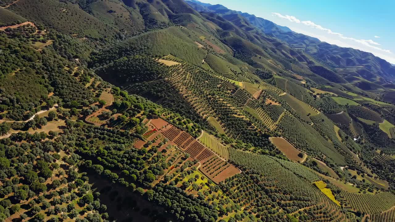 Aerial view of lush, green hills and farmland, showcasing a vibrant landscape