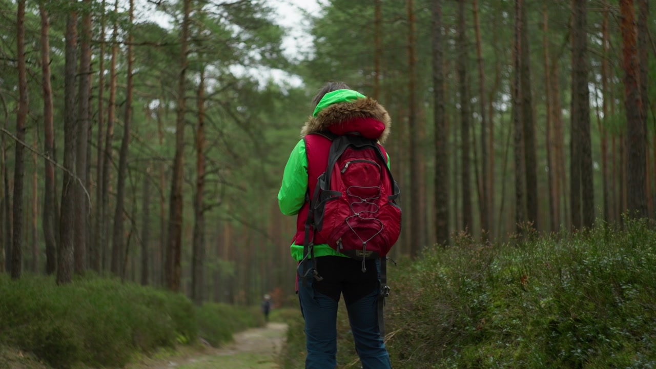 Inquadratura da dietro di un escursionista con uno zaino che cammina lungo un sentiero forestale bavarese, ideale per temi di avventura all'aperto, viaggi, natura, trekking e stile di vita attivo