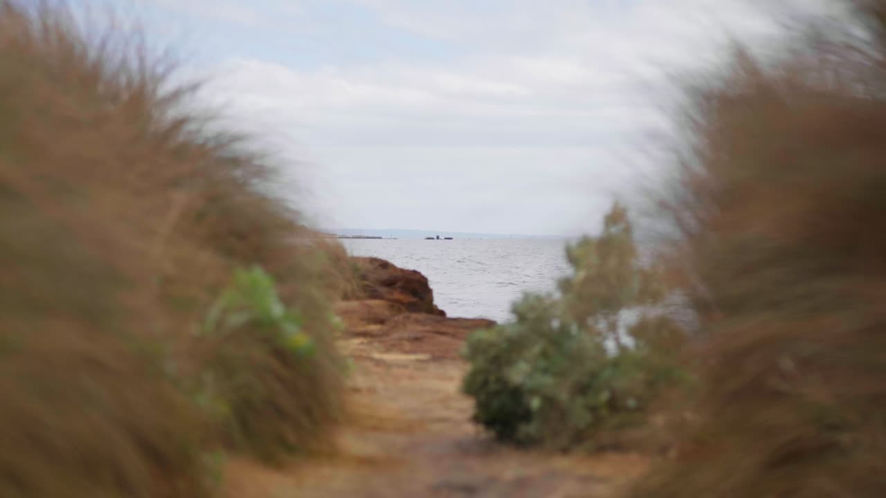 A distant sunken ship rests offshore, seen from a sandy beach path, creating a dramatic and mysterious coastal scene