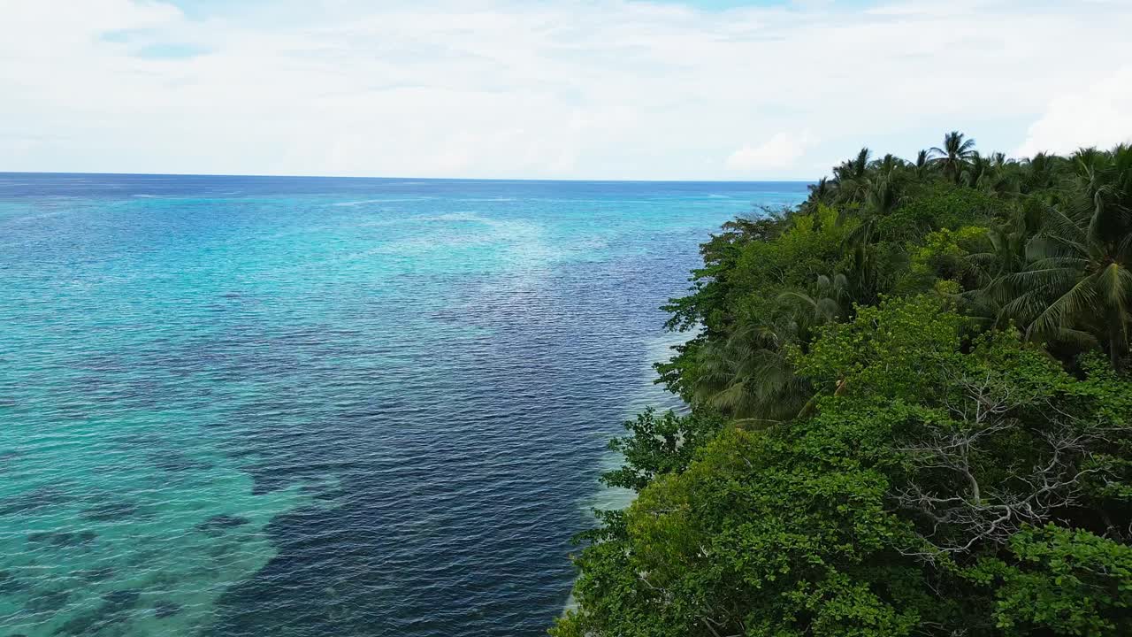 una pequeña isla cubierta únicamente de cocoteros hasta donde alcanza la vista