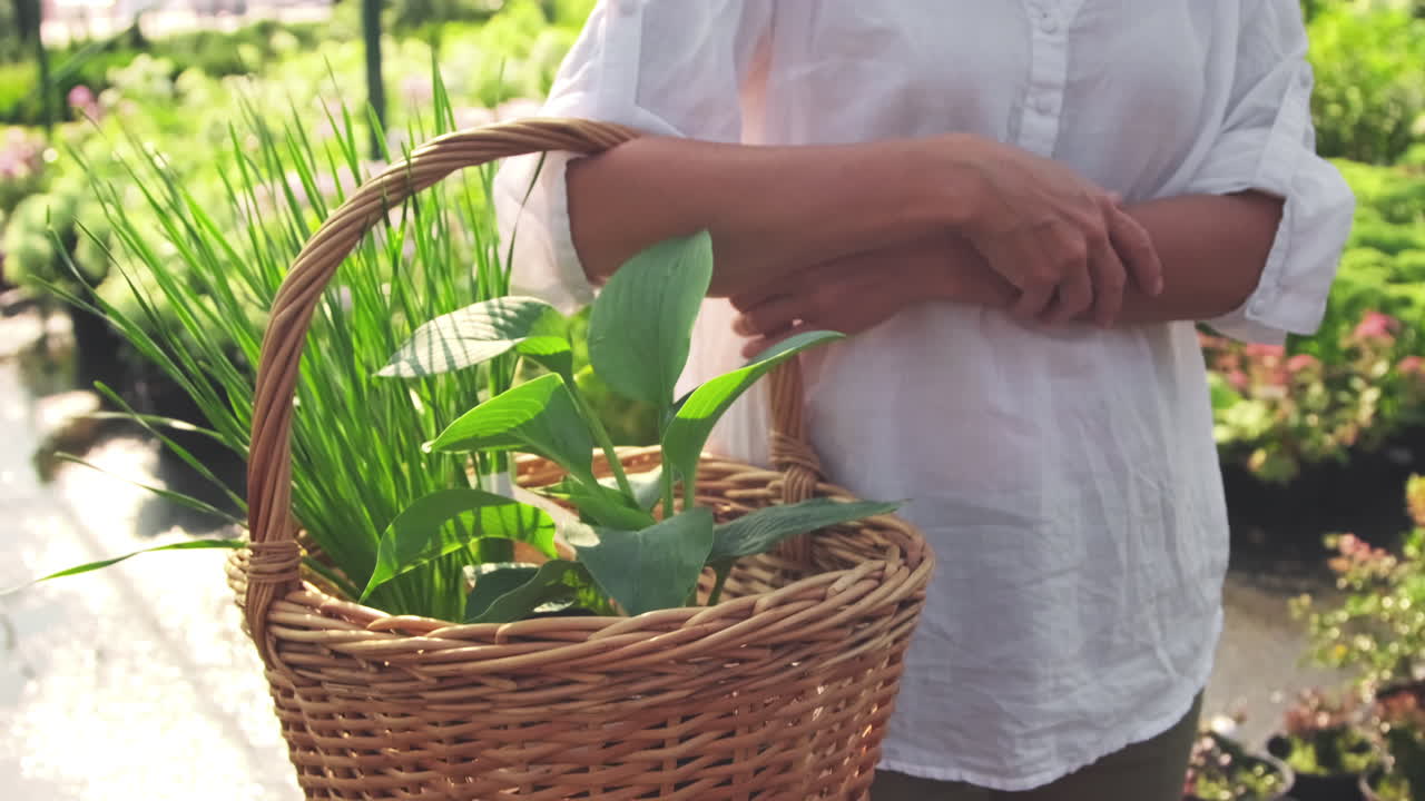 Plants in a Basket
