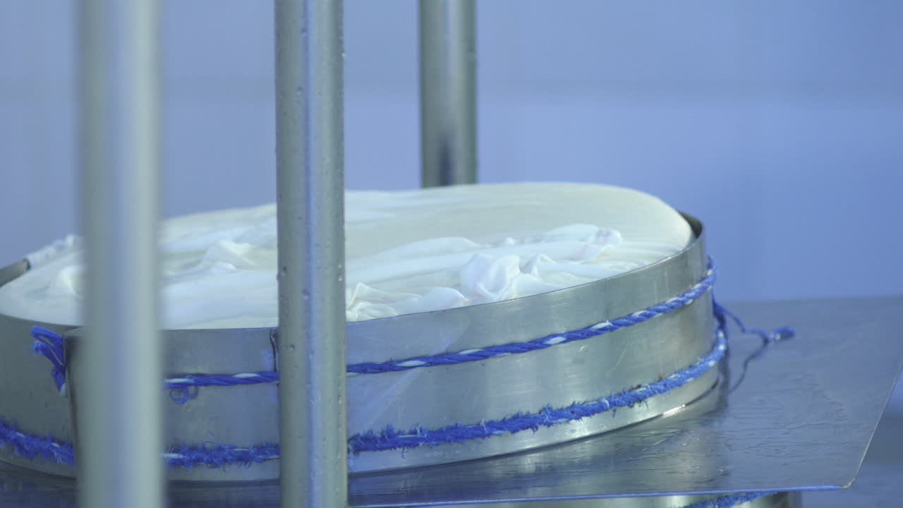 disparo estático de queso en prensa