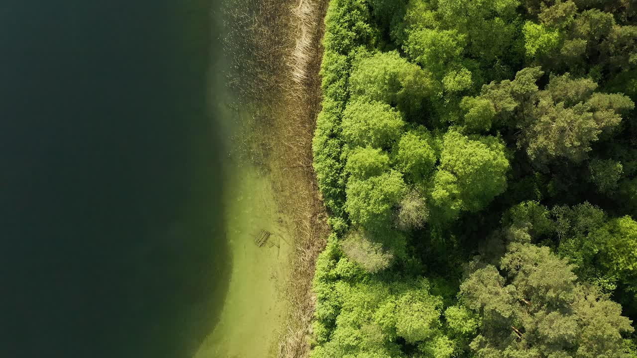 дрон спускается на деревья у берега озера в вармии, польша
