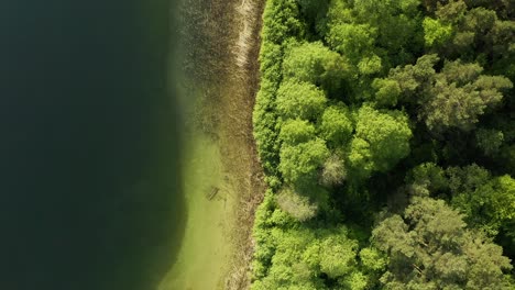 avión no tripulado descendiendo en los árboles junto a la orilla del lago en warmia, polonia