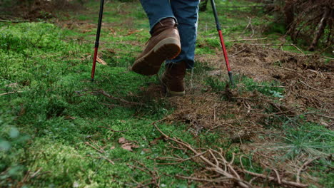 male traveler walking in summer woods