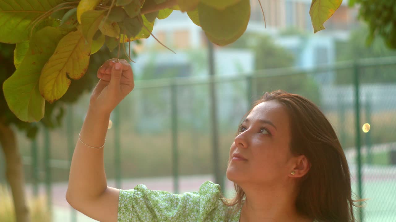 아름다운 젊은 여성이 나무의 가지를 만지고 있습니다.