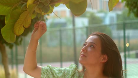 hermosa joven tocando las ramas de los árboles