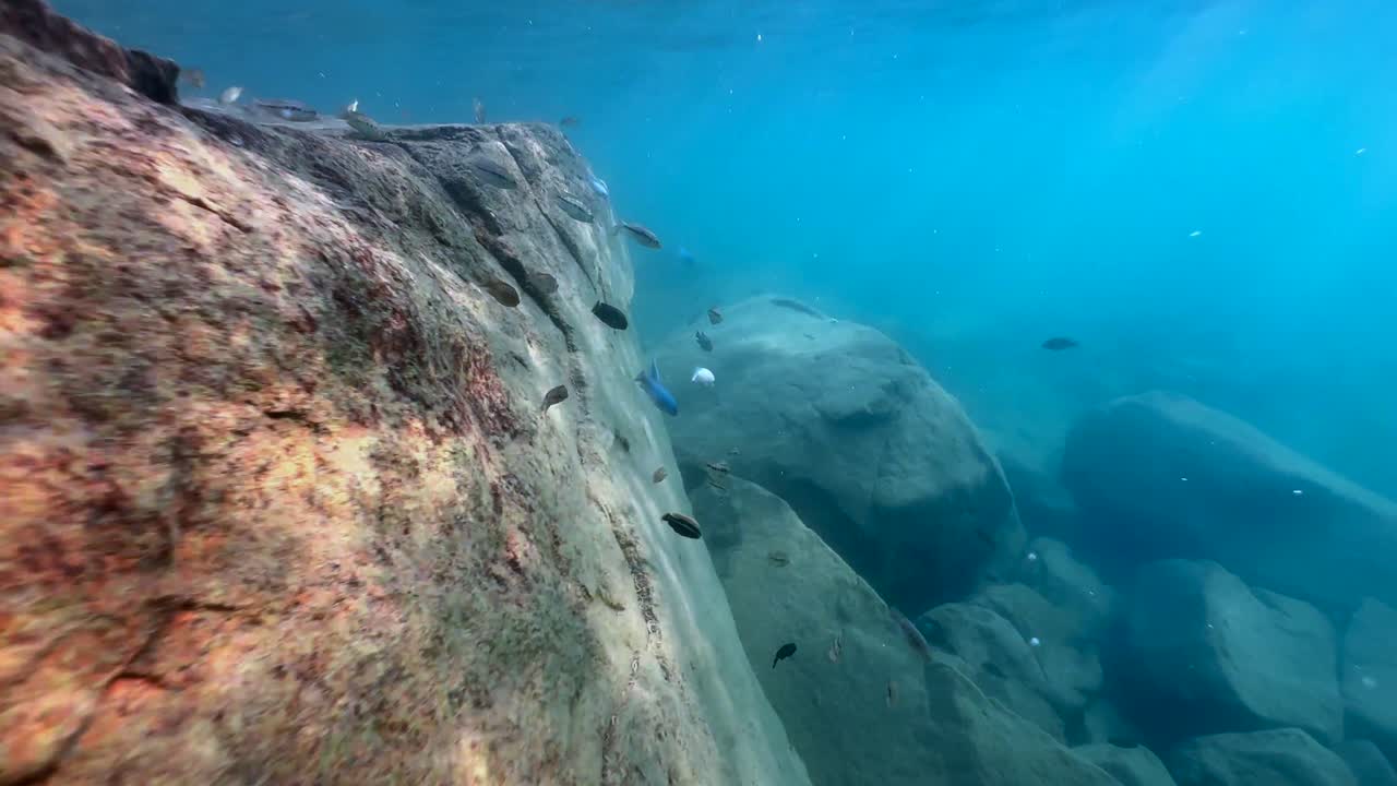 explorando los arrecifes submarinos del lago de agua dulce de malawi en la isla de nakatenga. isla de nankoma, lago de malawi, malawi.