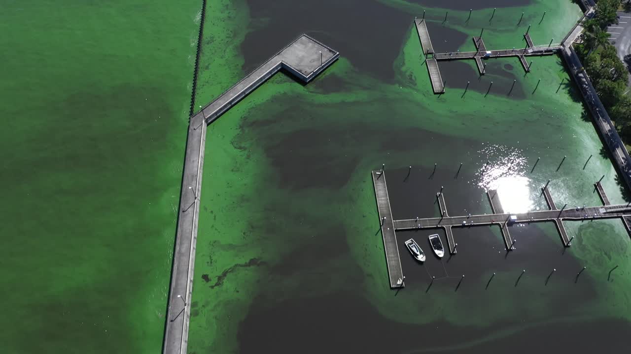 отличный снимок с воздуха лодок, пришвартованных на озере окейчоби, штат флорида, где цветут водоросли