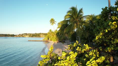 caravelle beach in sainte-anne, guadeloupe, french antilles