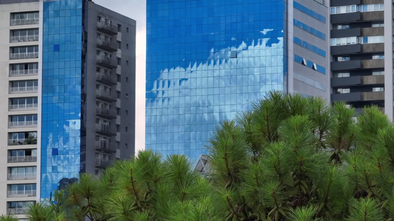 Edificio per uffici a specchio rivelato dietro rami di pino con pigne visibili, in una ripresa urbana con teleobiettivo.