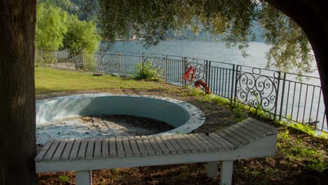 calm static shot of empty pool and tree facing lake como, italy (lago di como, italia) with sparkling water at sunset
