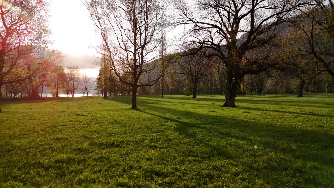 Calm forest walk golden sky sun rays sunrise sunset Switzerland outdoor