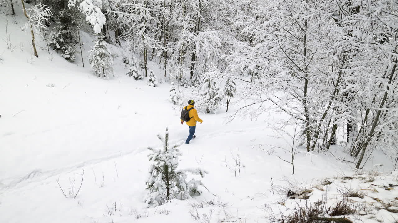 숲을 걷는 사람