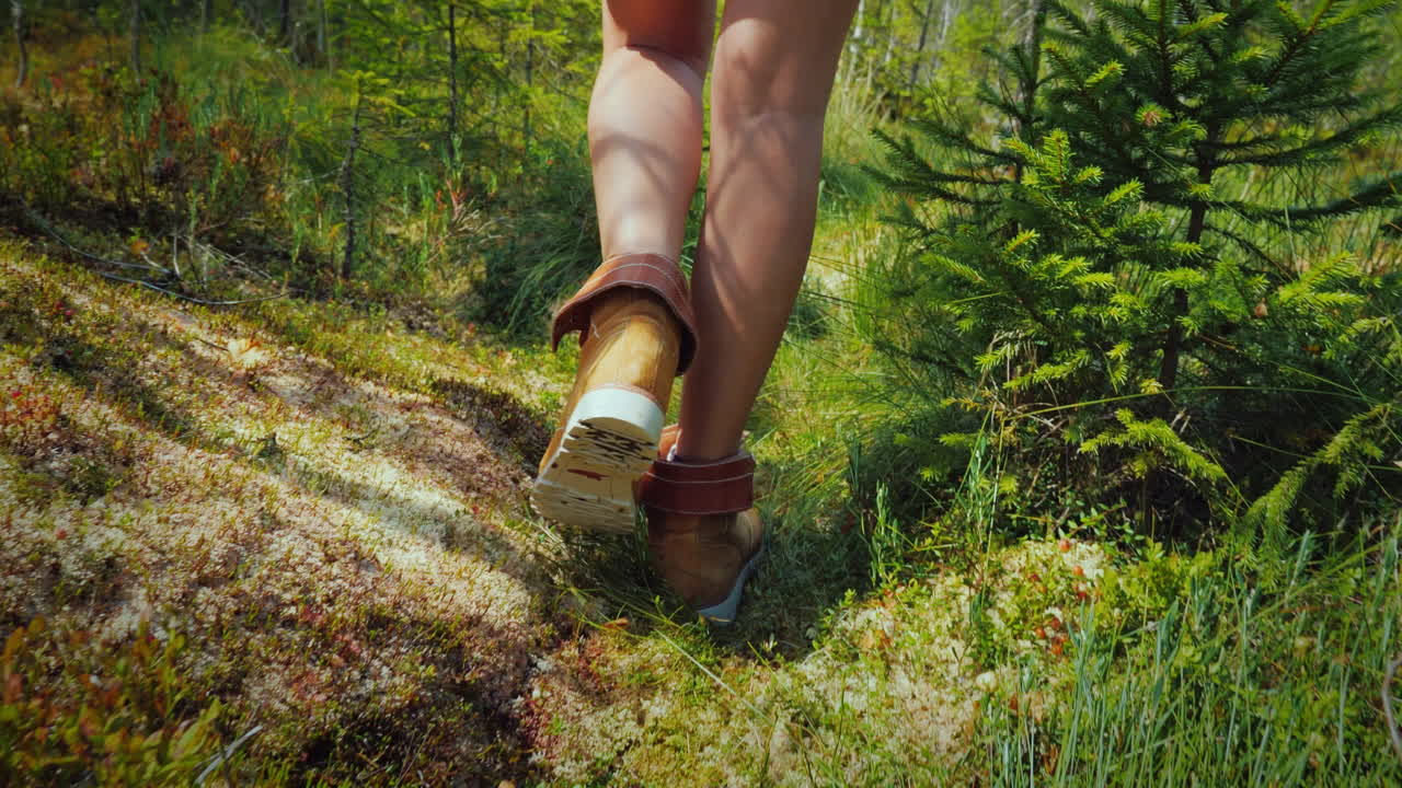 The Feet Of The Traveler Go Through Moss And Damp Swamps Lost World Of The Swamp A Journey Through T