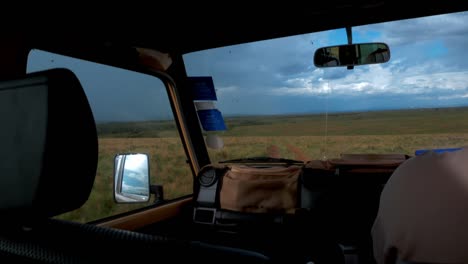 shot through the windshield of the jeep driving through the savannah in africa