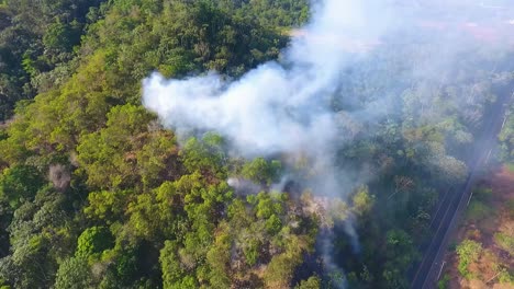 vista aérea de un incendio forestal cerca de una carretera, peligro para los coches y el tráfico - retroceso, disparo de drones