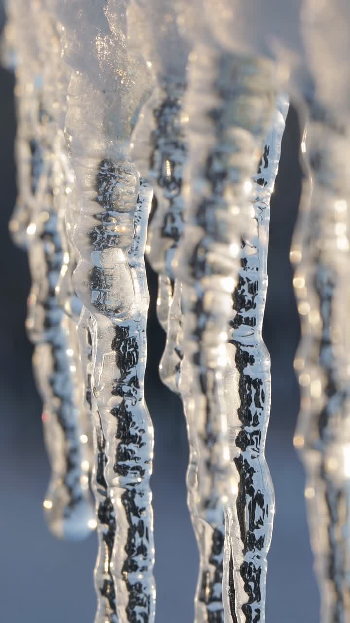 Close-up of icicles with sunlight reflections, captured from a low angle